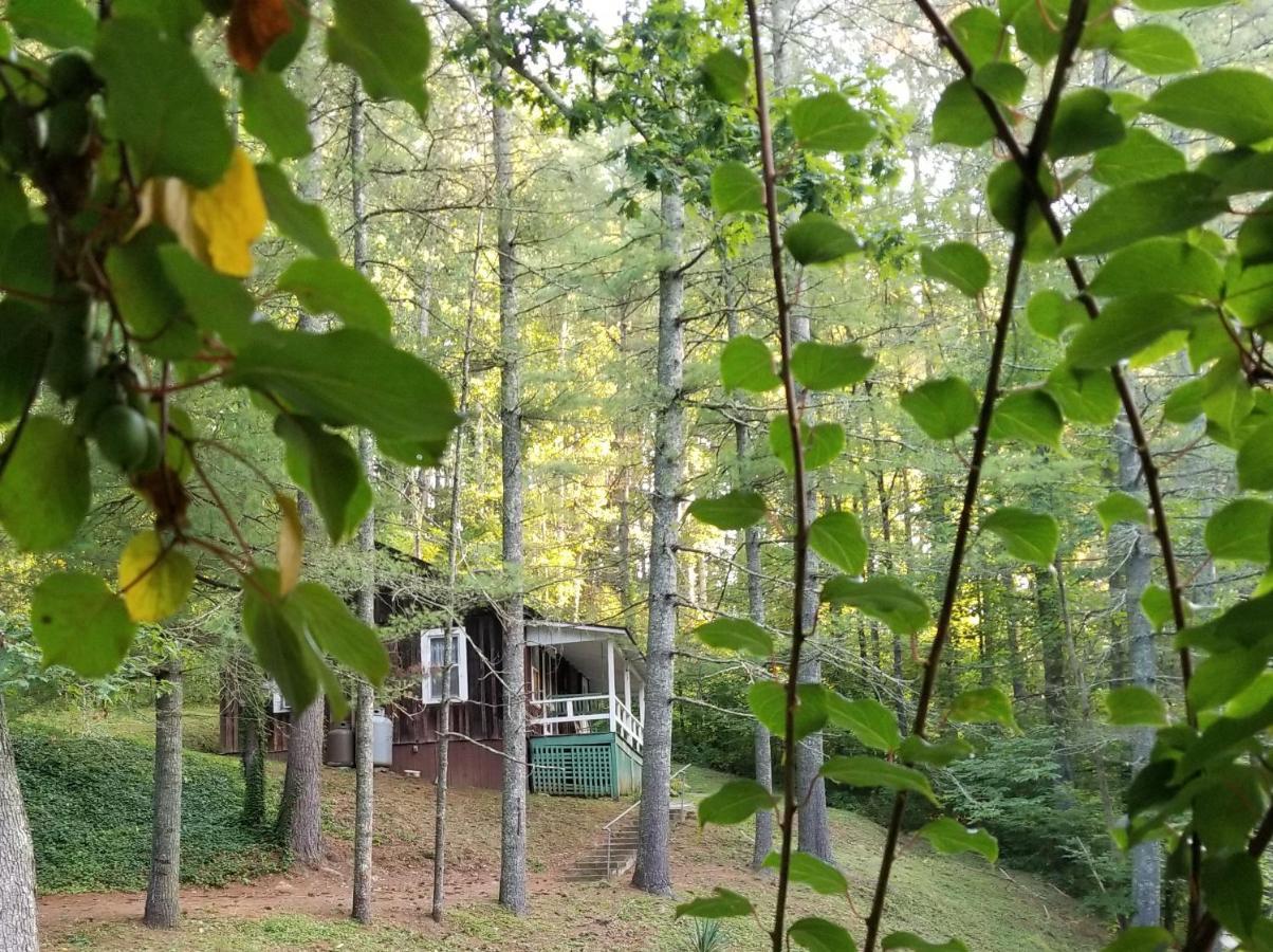 The Cabins At Healing Springs Crumpler Екстериор снимка