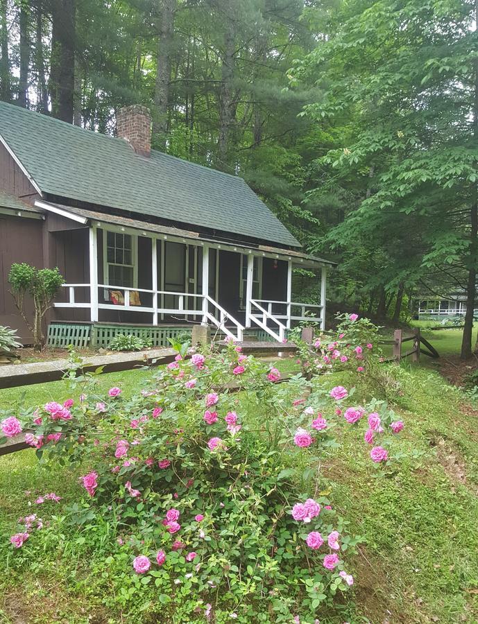 The Cabins At Healing Springs Crumpler Екстериор снимка